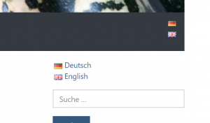Sublanguage Switcher Widget 7