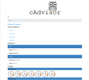 Die cAdvisor-Web-UI, erreichbar über einen Pfad dank Traefik