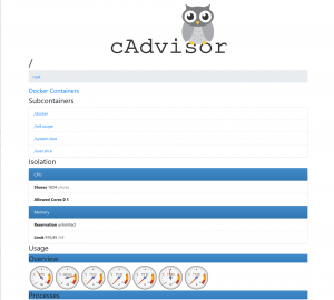 Howto: cAdvisor mit Traefik einrichten